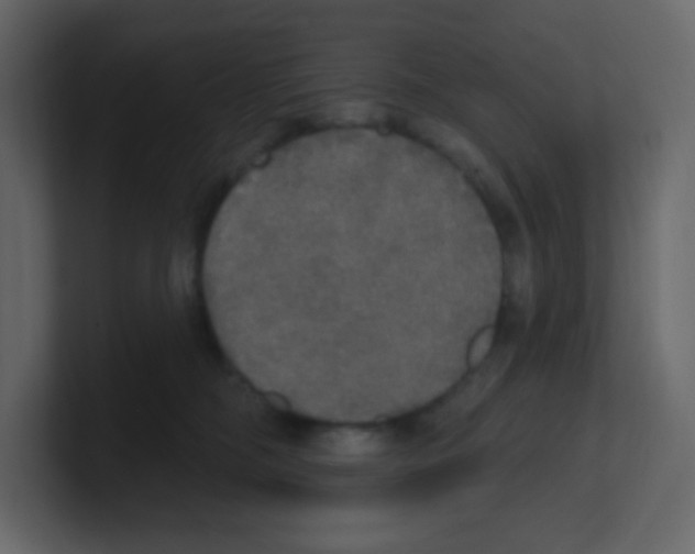 X0000100500326200807111148