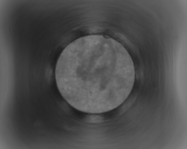 X0000100500327200807111148