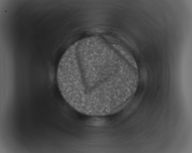 X0000100500328200807111148