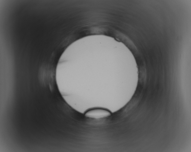 X0000100500329200807111148