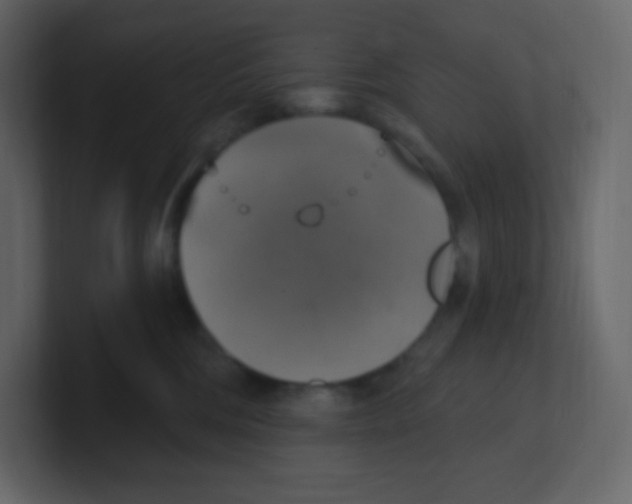 X0000100500330200807111148