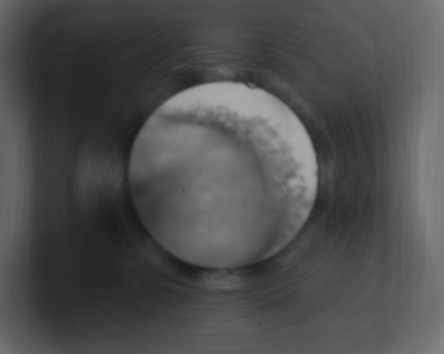 X0000100500331200807111148