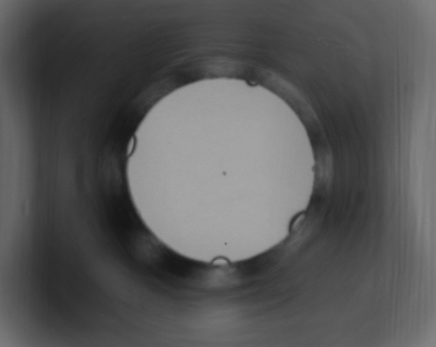 X0000100500333200807111148