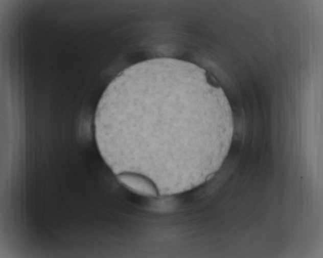 X0000100500334200807111148