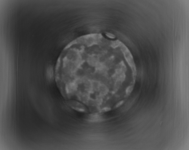 X0000100500335200807111148