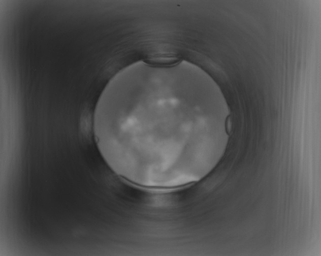 X0000100500336200807111148