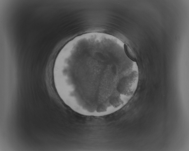 X0000100500337200807111147