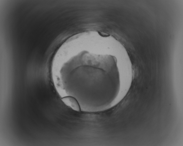 X0000100500339200807111147