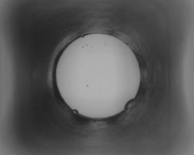 X0000100500340200807111147