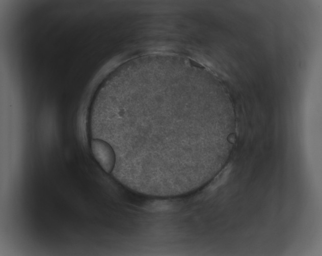 X0000100500341200807111147