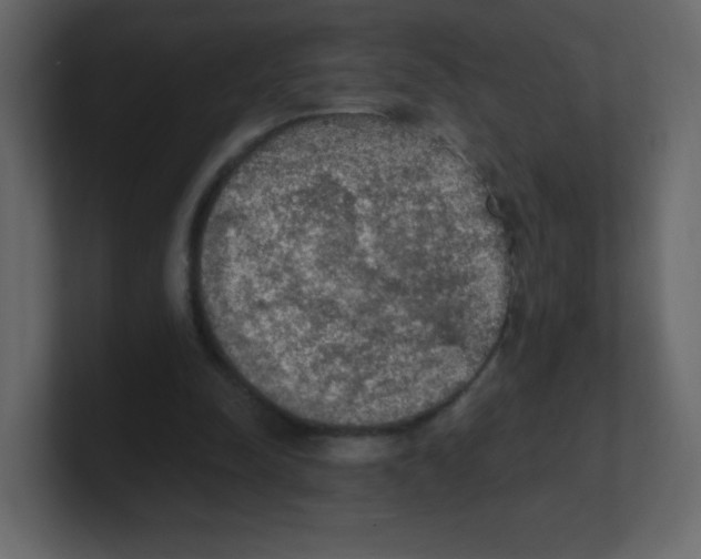 X0000100500342200807111147