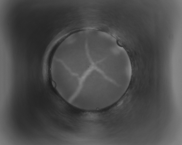 X0000100500343200807111147