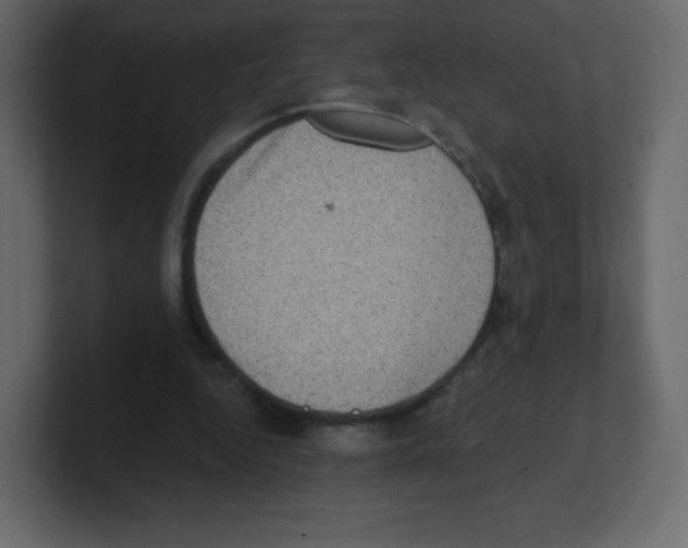 X0000100500344200807111147