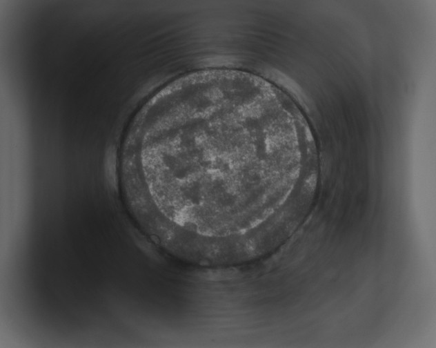 X0000100500345200807111147