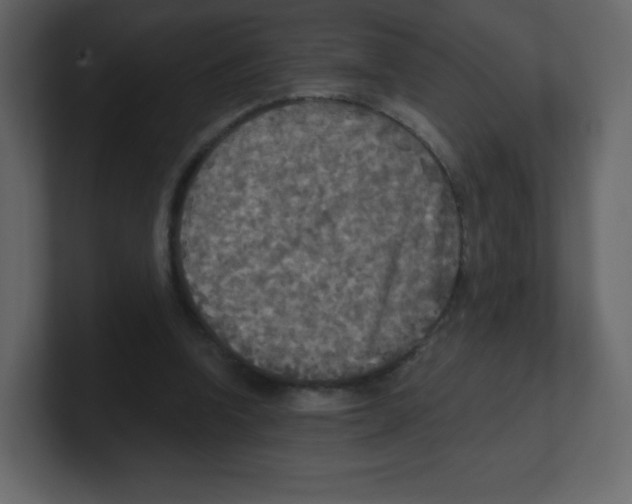 X0000100500346200807111147