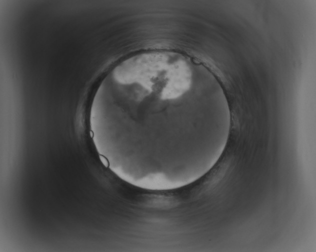 X0000100500347200807111147