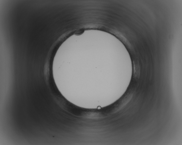 X0000100500348200807111147