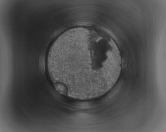 X0000100500349200807111147