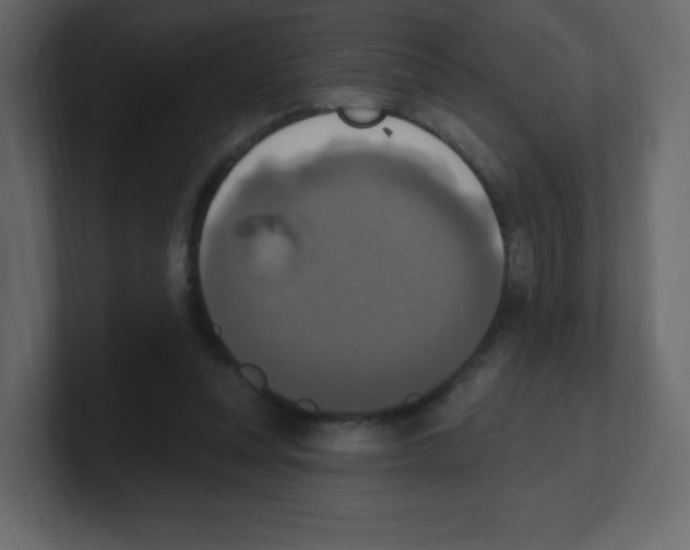 X0000100500351200807111147