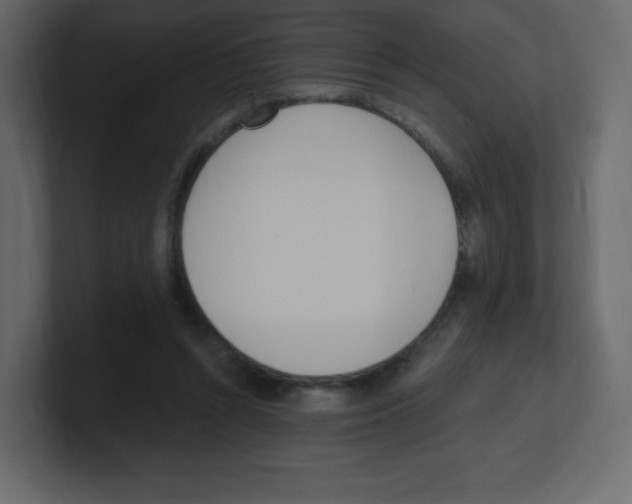 X0000100500352200807111147