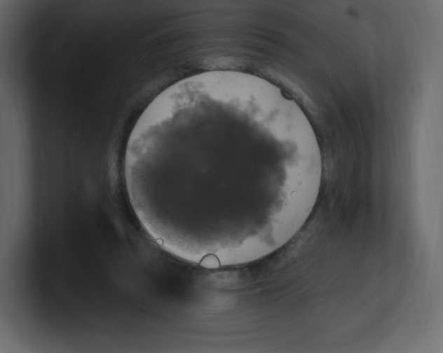 X0000100500353200807111147