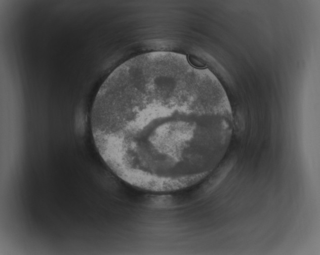 X0000100500355200807111148