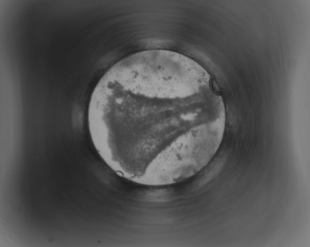 X0000100500357200807111148