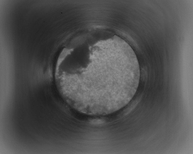 X0000100500358200807111148