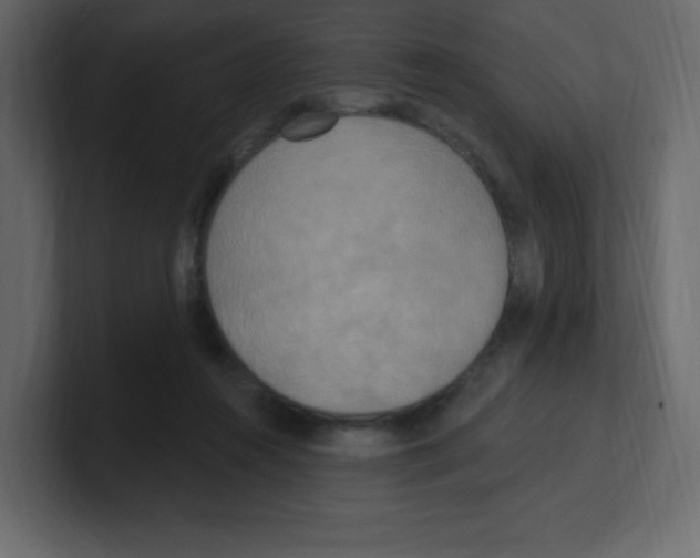 X0000100500360200807111148