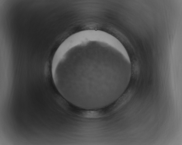 X0000100500361200807111148