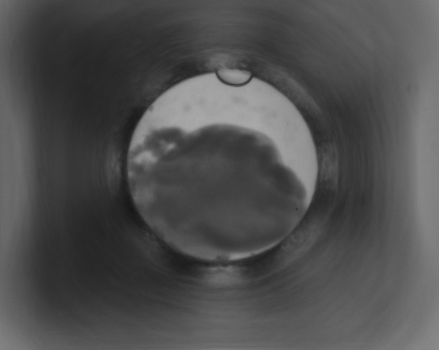 X0000100500363200807111148