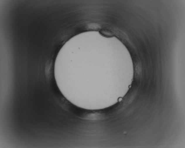 X0000100500364200807111148