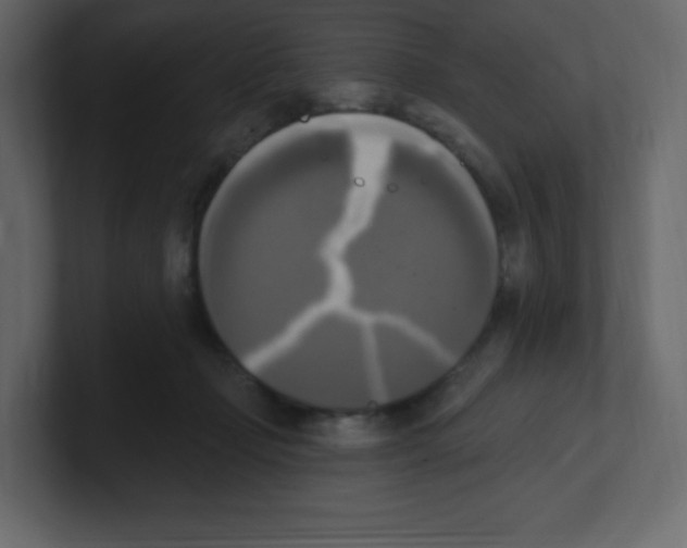 X0000100500365200807111148