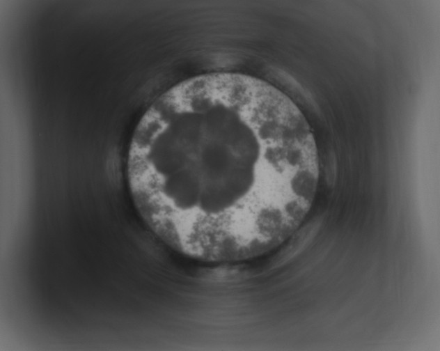 X0000100500366200807111148