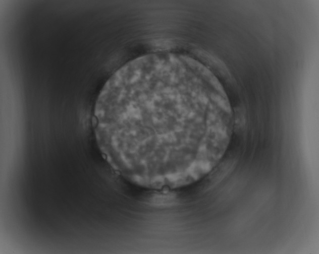 X0000100500369200807111148