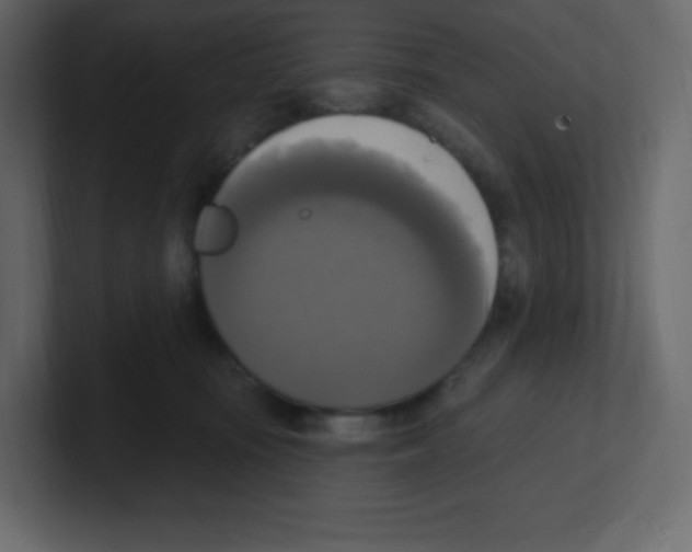 X0000100500371200807111148