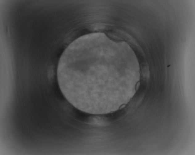 X0000100500372200807111148