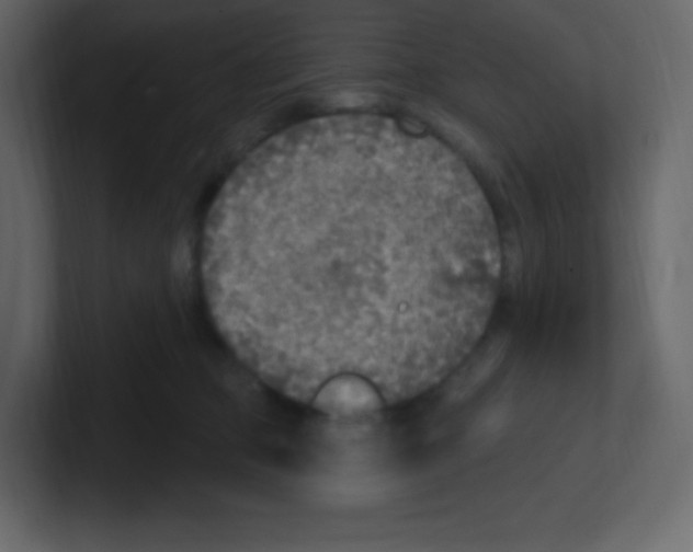 X0000100500373200807111148