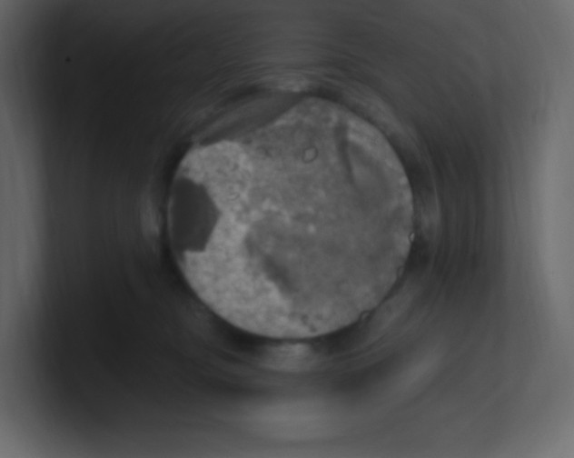 X0000100500374200807111148