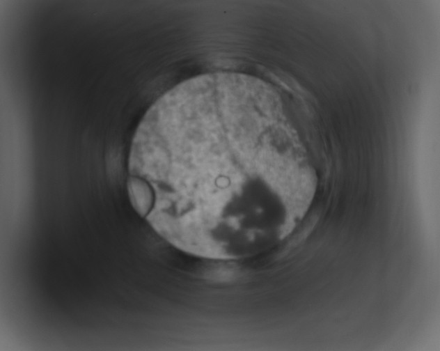 X0000100500377200807111148