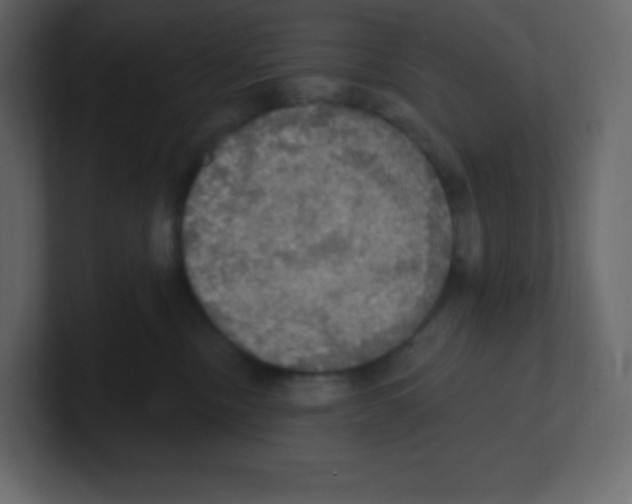 X0000100500378200807111148