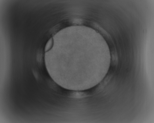 X0000100500379200807111148