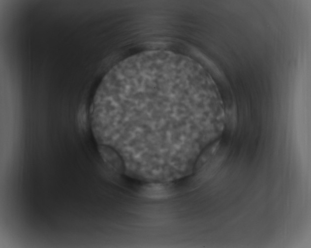 X0000100500381200807111148