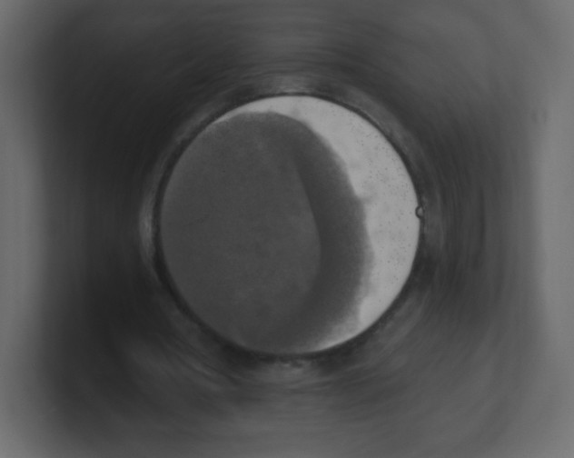 X0000100500386200807111147