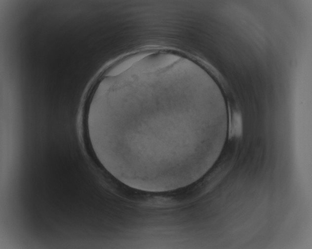 X0000100500387200807111147