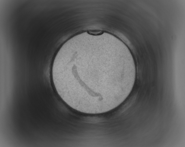 X0000100500389200807111147