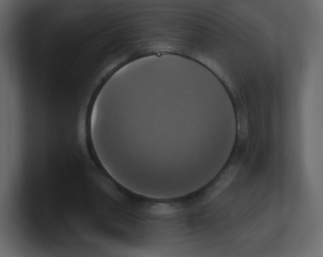 X0000100500390200807111147