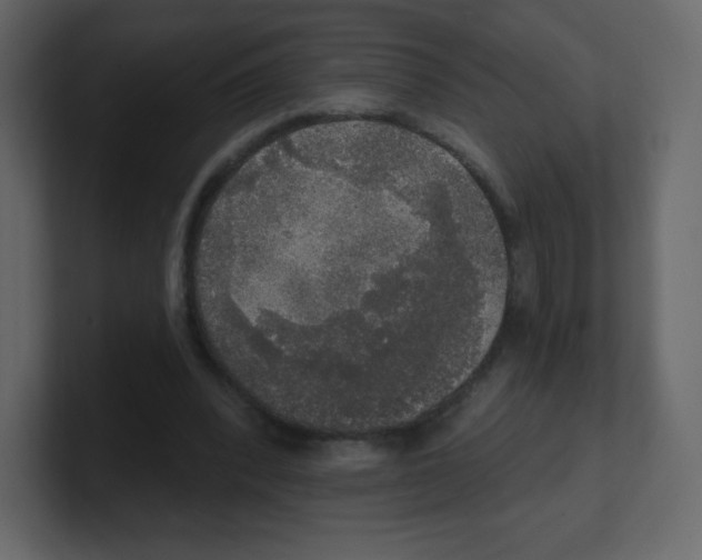 X0000100500392200807111147