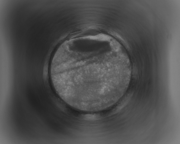 X0000100500394200807111147