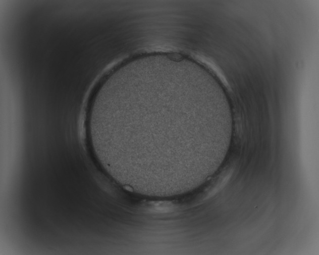 X0000100500395200807111147